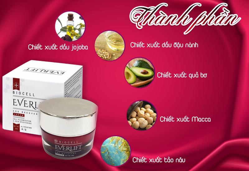 EVERLIFT CREAM Giúp Làn Da săn chắc