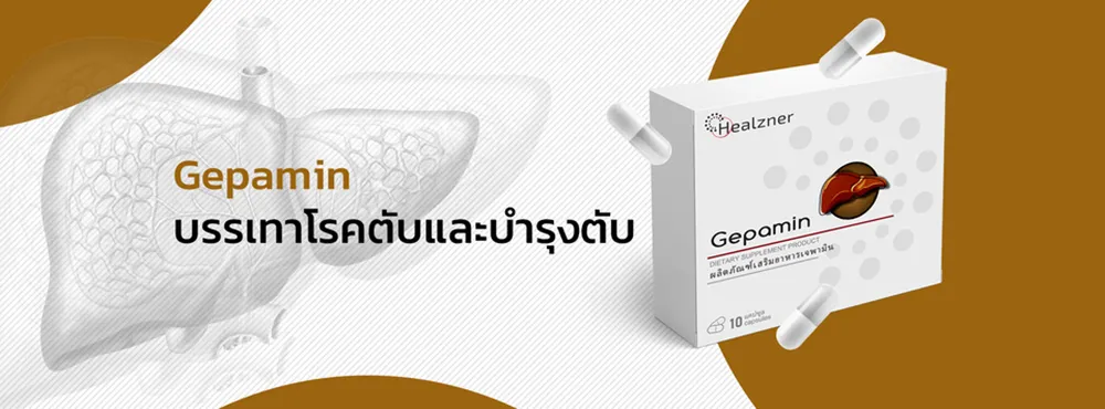 ใครควรใช้ ข้อบ่งชี้ในการใช้ยา Gepamin ได้แก่