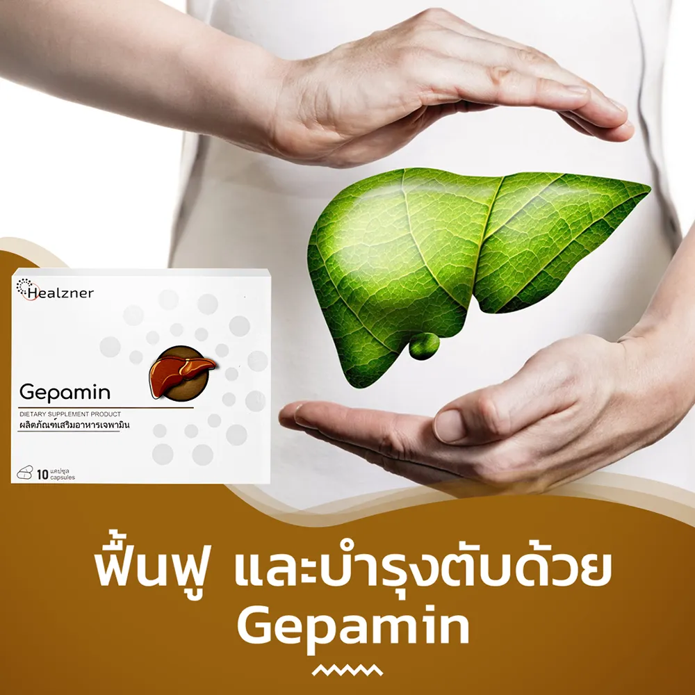 กลไกการออกฤทธิ์ของยา Gepamin